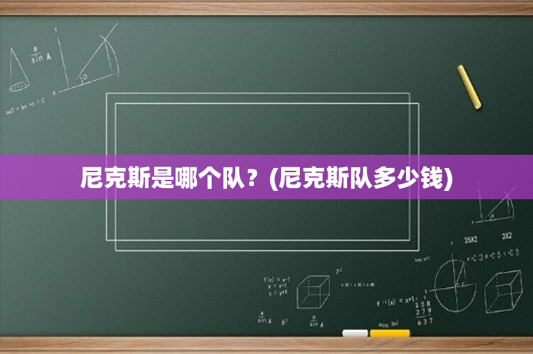 尼克斯是哪个队？(尼克斯队多少钱)