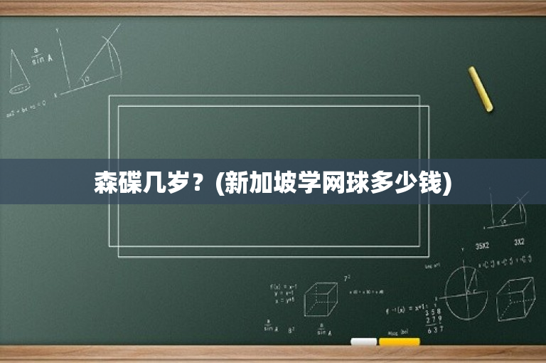 森碟几岁？(新加坡学网球多少钱)