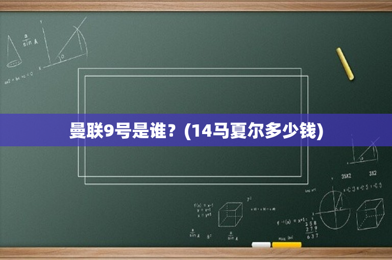 曼联9号是谁？(14马夏尔多少钱)-图1