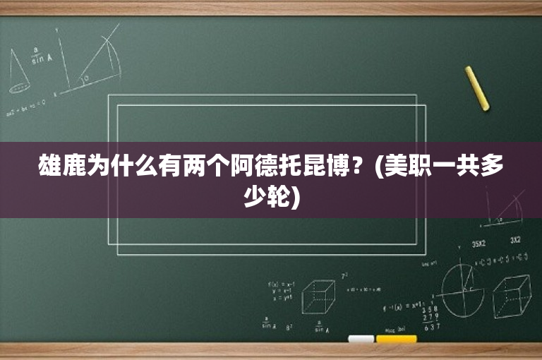 雄鹿为什么有两个阿德托昆博？(美职一共多少轮)