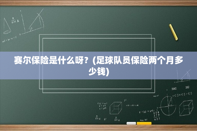 赛尔保险是什么呀？(足球队员保险两个月多少钱)