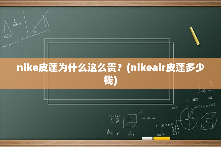 nike皮蓬为什么这么贵？(nikeair皮蓬多少钱)