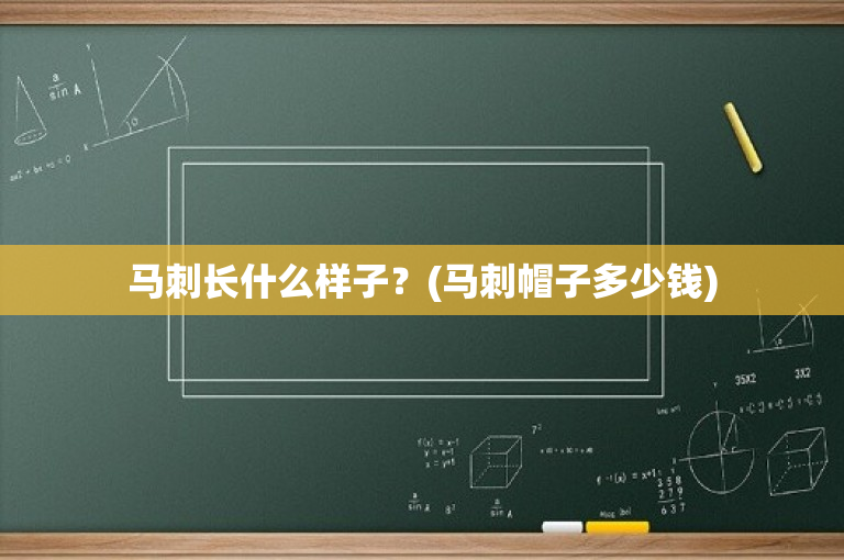 马刺长什么样子？(马刺帽子多少钱)