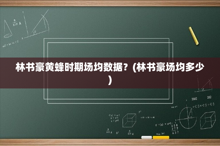 林书豪黄蜂时期场均数据？(林书豪场均多少)