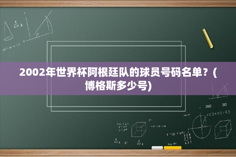 2002年世界杯阿根廷队的球员号码名单？(博格斯多少号)