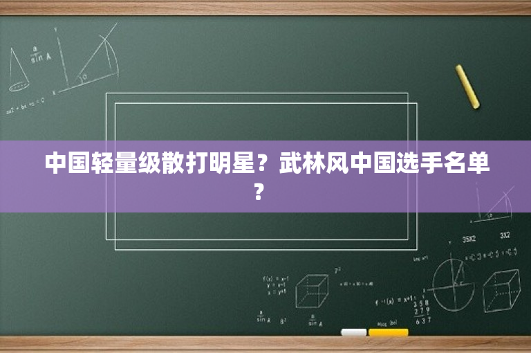 中国轻量级散打明星？武林风中国选手名单？ 