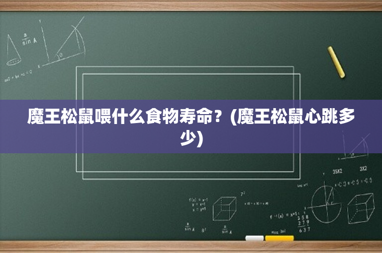 魔王松鼠喂什么食物寿命？(魔王松鼠心跳多少)