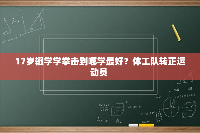 17岁辍学学拳击到哪学最好？体工队转正运动员 