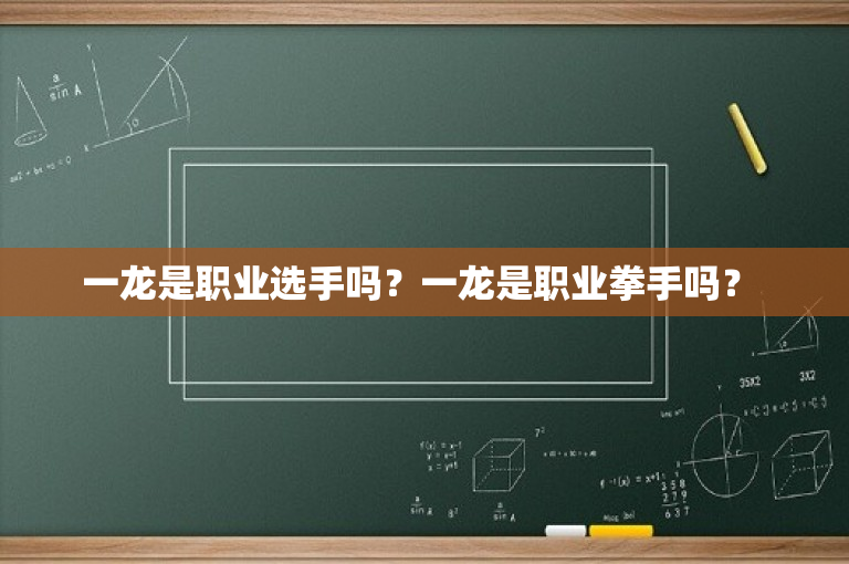 一龙是职业选手吗？一龙是职业拳手吗？ 