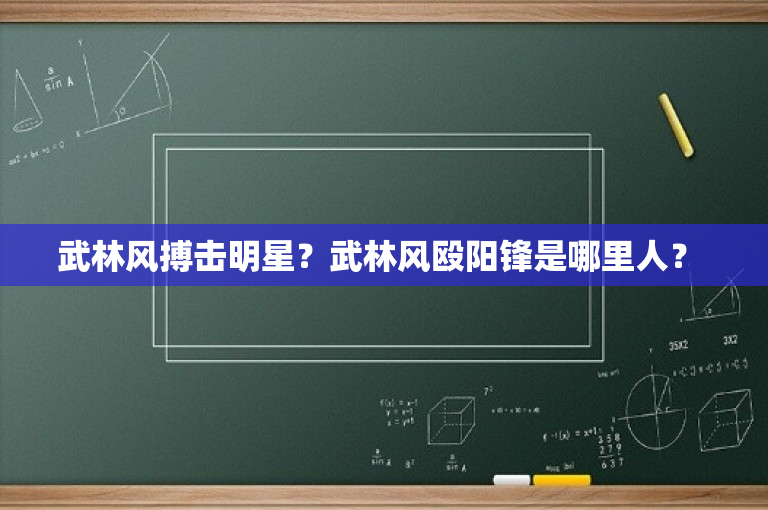 武林风搏击明星？武林风殴阳锋是哪里人？ 