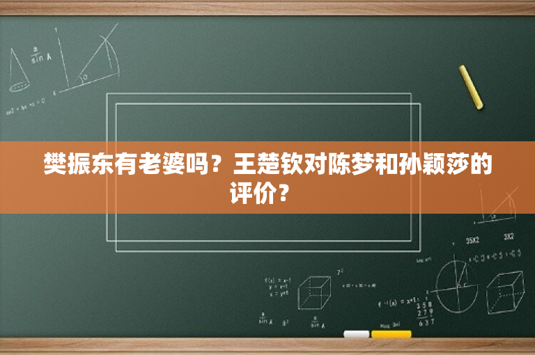 樊振东有老婆吗？王楚钦对陈梦和孙颖莎的评价？ 
