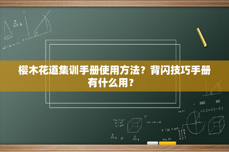 樱木花道集训手册使用方法？背闪技巧手册有什么用？ 