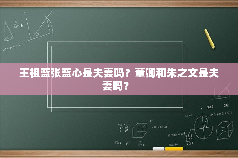 王祖蓝张蓝心是夫妻吗？董卿和朱之文是夫妻吗？ 