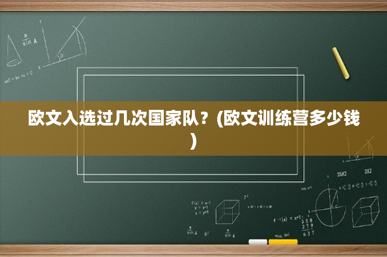 欧文入选过几次国家队？(欧文训练营多少钱)