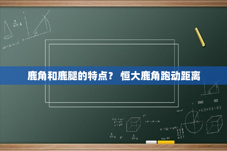 鹿角和鹿腿的特点？ 恒大鹿角跑动距离-图1