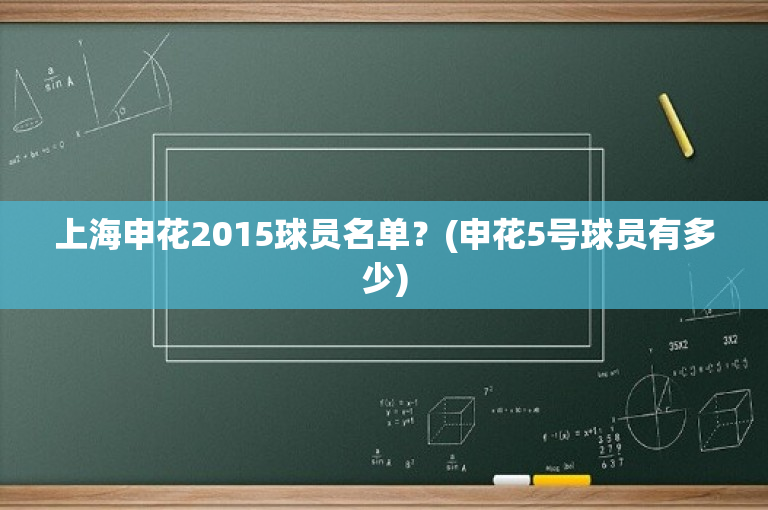 上海申花2015球员名单？(申花5号球员有多少)