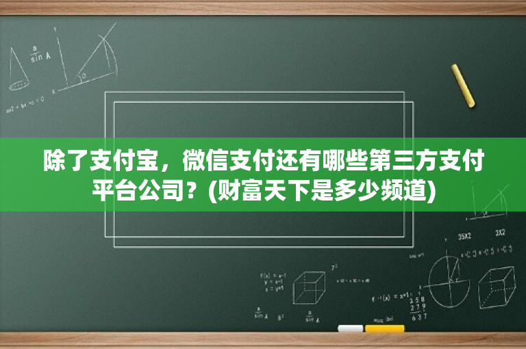 除了支付宝，微信支付还有哪些第三方支付平台公司？(财富天下是多少频道)