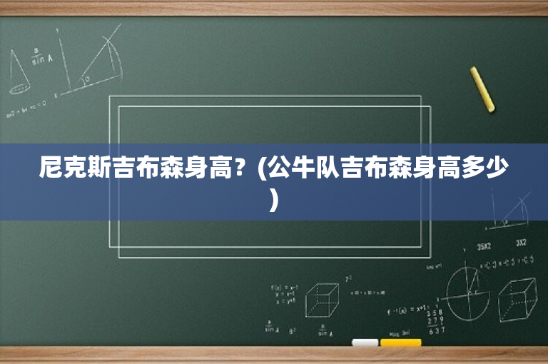尼克斯吉布森身高？(公牛队吉布森身高多少)