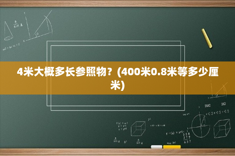 4米大概多长参照物？(400米0.8米等多少厘米)-图1