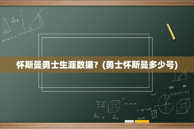 怀斯曼勇士生涯数据？(勇士怀斯曼多少号)