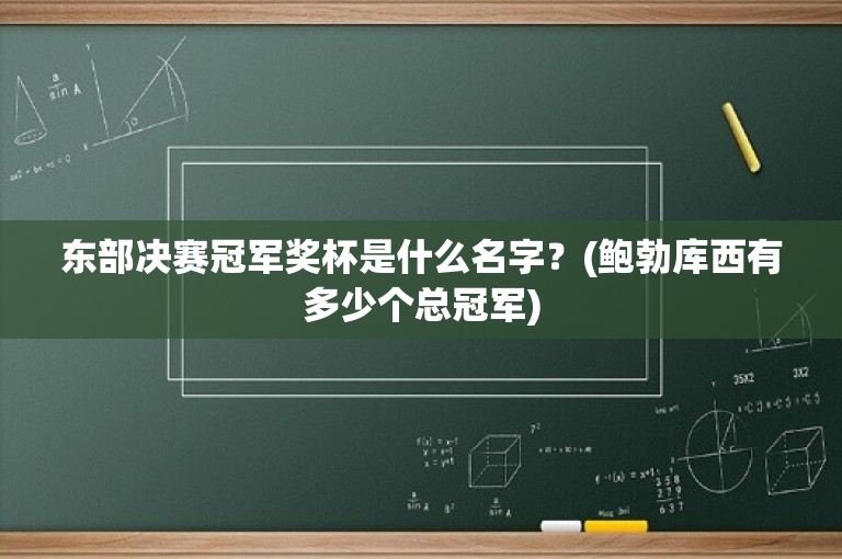 东部决赛冠军奖杯是什么名字？(鲍勃库西有多少个总冠军)