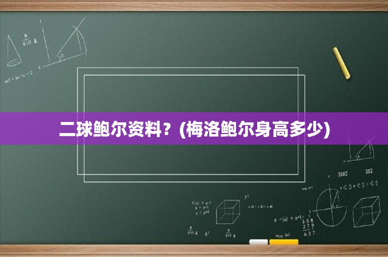 二球鲍尔资料？(梅洛鲍尔身高多少)