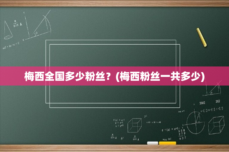 梅西全国多少粉丝？(梅西粉丝一共多少)