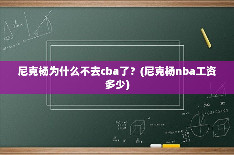 尼克杨为什么不去cba了？(尼克杨nba工资多少)