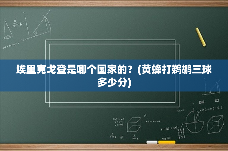 埃里克戈登是哪个国家的？(黄蜂打鹈鹕三球多少分)