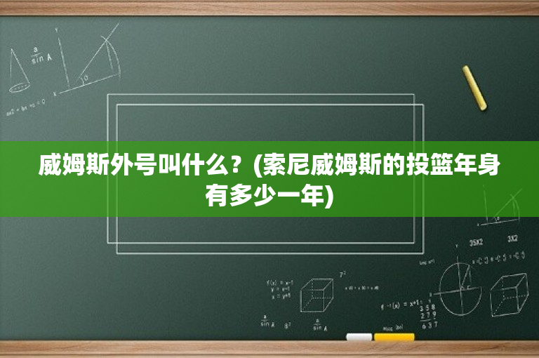 威姆斯外号叫什么？(索尼威姆斯的投篮年身有多少一年)-图1