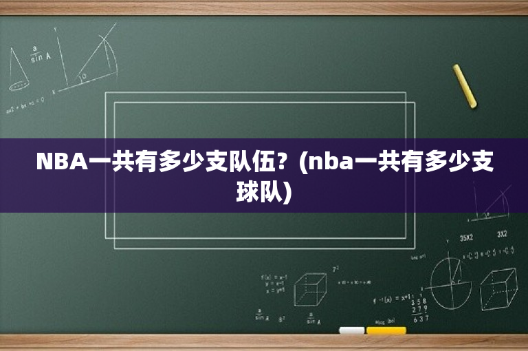 NBA一共有多少支队伍？(nba一共有多少支球队)