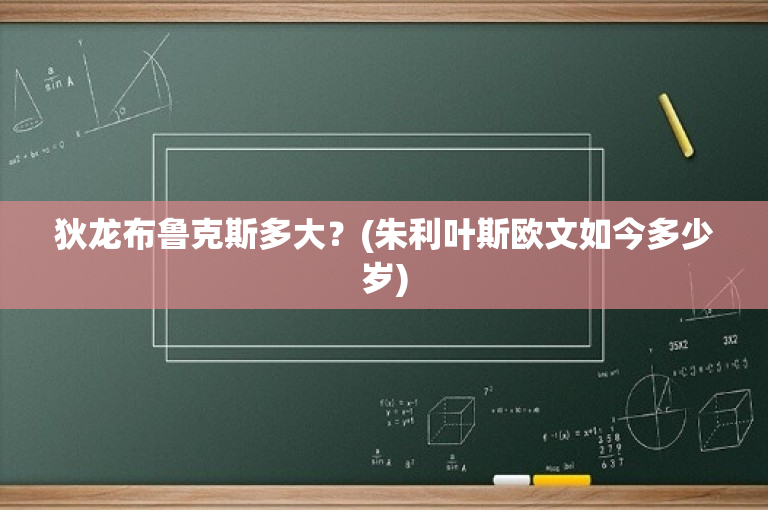 狄龙布鲁克斯多大？(朱利叶斯欧文如今多少岁)