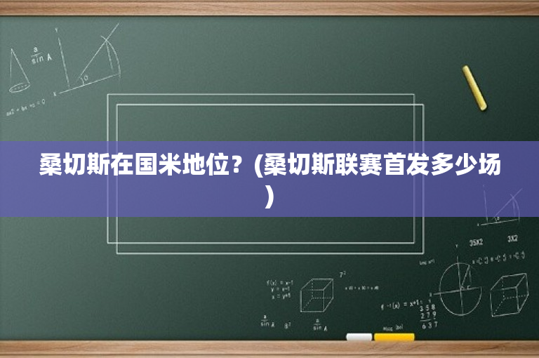 桑切斯在国米地位？(桑切斯联赛首发多少场)
