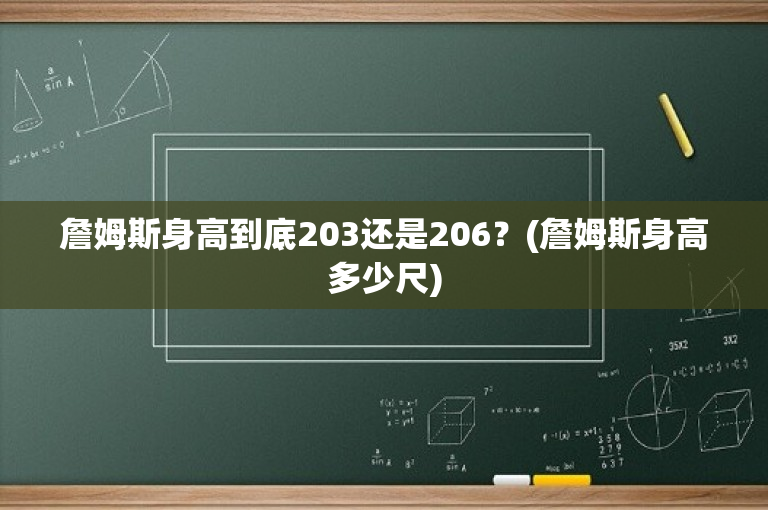 詹姆斯身高到底203还是206？(詹姆斯身高多少尺)