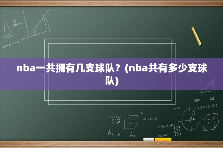 nba一共拥有几支球队？(nba共有多少支球队)