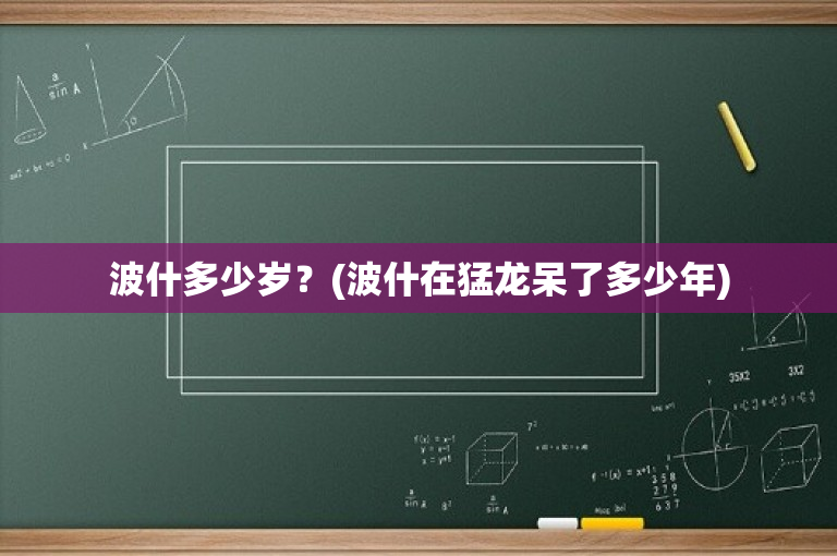 波什多少岁？(波什在猛龙呆了多少年)