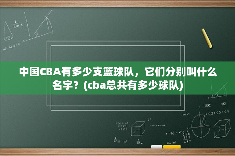 中国CBA有多少支篮球队，它们分别叫什么名字？(cba总共有多少球队)-图1